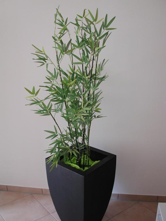 Ferienwohnung Pusteblume Кохем Стая снимка