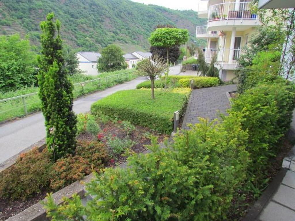 Ferienwohnung Pusteblume Кохем Стая снимка